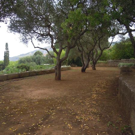 Appartamento In Villa Fortunata Terra Marina Serra Zewnętrze zdjęcie
