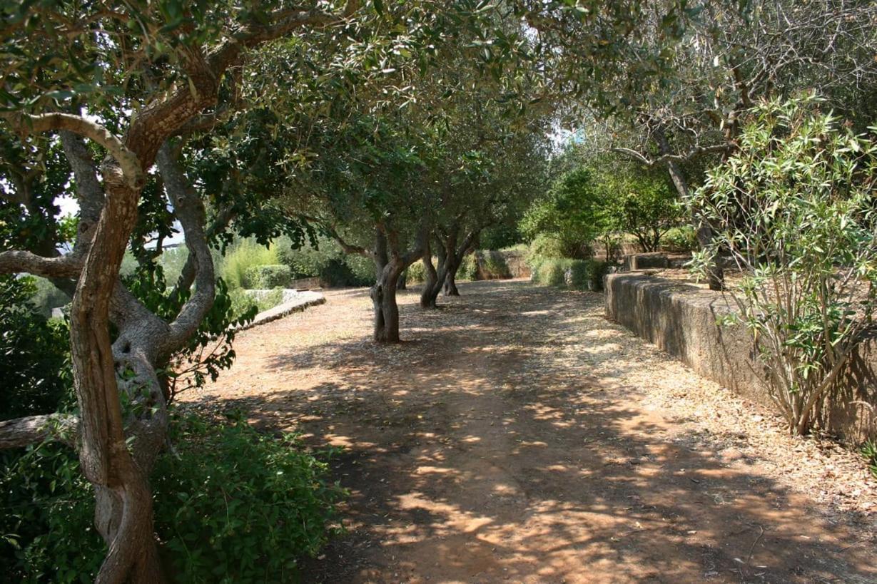 Appartamento In Villa Fortunata Terra Marina Serra Zewnętrze zdjęcie